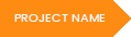 PROJECT NAME