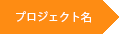 PROJECT NAME